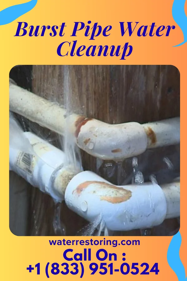 Burst Pipe Water Cleanup in Campbell, TX